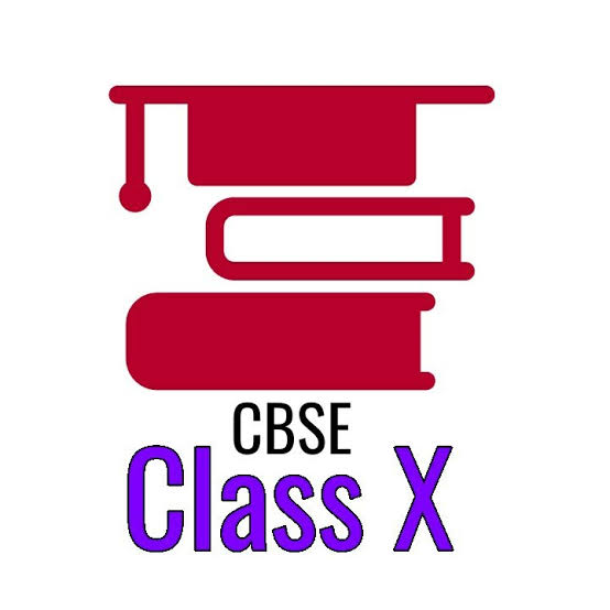 Linear equation class 10 maths DPP